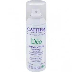 CATTIER DEODORANT FEMME BRUME ACTIVE 100ML