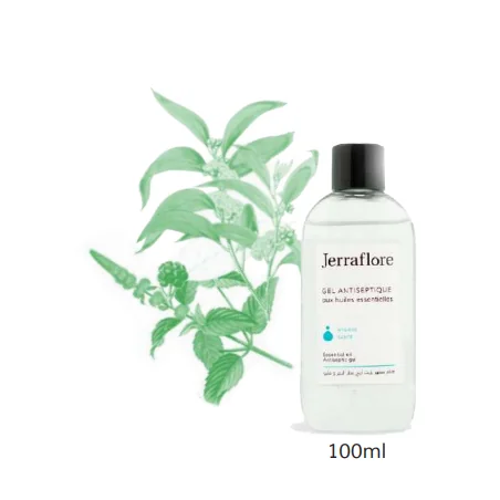 JERRAFLORE GEL ANTISEPTIQUE AUX H.ESS 100ML