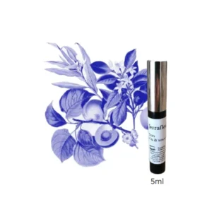 JERRAFLORE SOIN CILS & SOURCILS 5ML