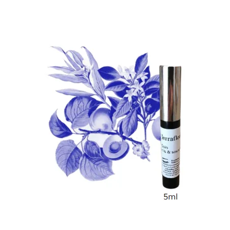 JERRAFLORE SOIN CILS & SOURCILS 5ML