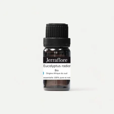 JERRAFLORE HUILE ESSENTIELLE EUCALYPTUS RADIATA 10ML