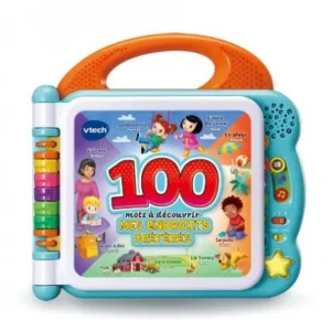 VTECH IMAGIER BILINGUE MES ENDROITS PRÉFÉRES - 613045