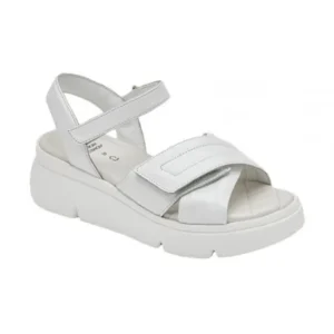 SCHOLL SANDALES BALI CROSS - S30615