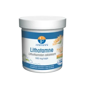 FENIOUX LITHOTAME 200 GELULES