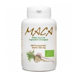 GPH DIFFUSION MACA BIO 500 MG 100 COMPRIMES